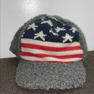 USA Bobsled Knit Hat